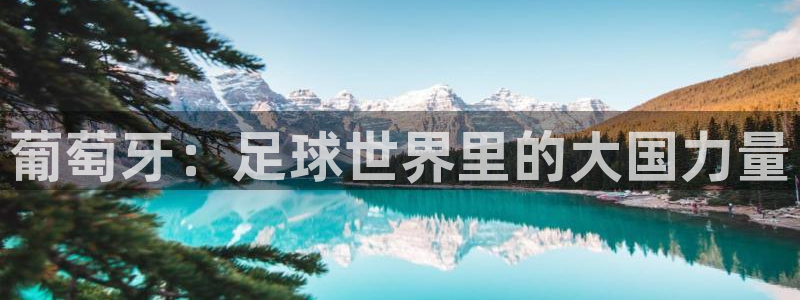 世界杯足球：葡萄牙：足球世界里的大国力量