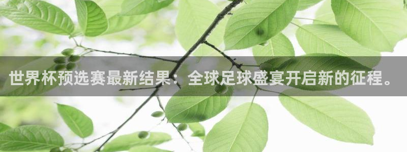 世预赛赛程表：世界杯预选赛最新结果：全球足球盛宴开启新的征程。