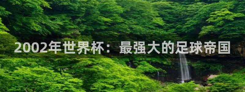 美国世界杯：2002年世界杯：最强大的足球帝国