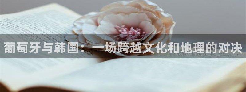 世界杯今年：葡萄牙与韩国：一场跨越文化和地理的对决