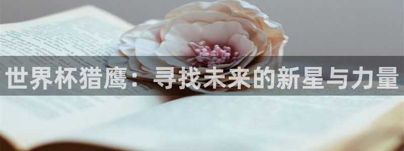 2026世界杯赛：世界杯猎鹰：寻找未来的新星与力量
