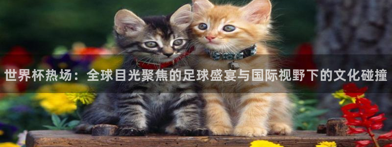 世界杯欧洲区预选赛赛程：世界杯热场：全球目光聚焦的足球盛宴与国际视野下的文化碰撞