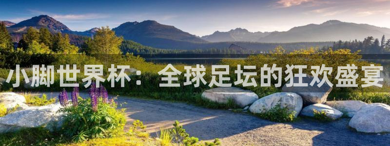 2026世界杯赛：小脚世界杯：全球足坛的狂欢盛宴