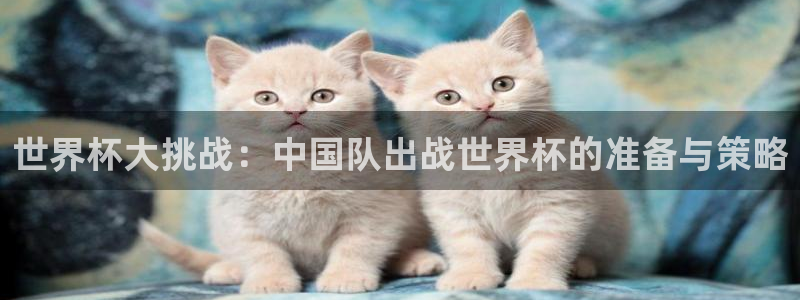 世界杯赛程表：世界杯大挑战：中国队出战世界杯的准备与策略