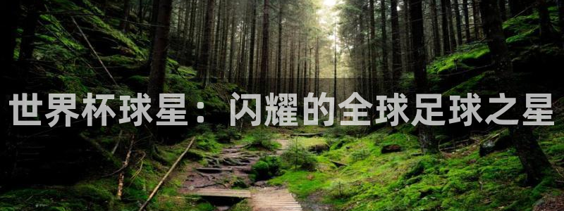 欧洲世界杯预选赛：世界杯球星：闪耀的全球足球之星