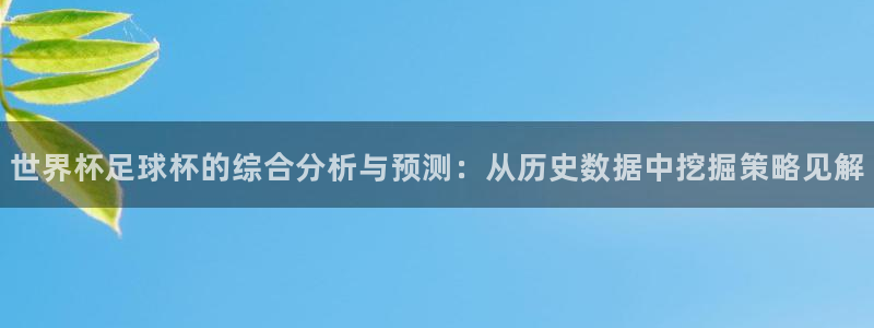 世界杯欧洲区预选赛：世界杯足球杯的综合分析与预测：从历史数据中挖掘策略见解