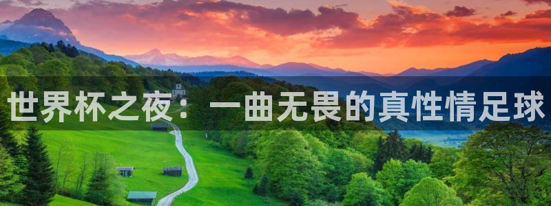 世界杯预选赛赛程时间表：世界杯之夜：一曲无畏的真性情足球