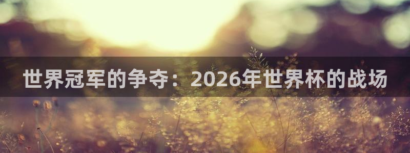 世界杯预选赛欧洲赛区积分榜：世界冠军的争夺：2026年世界杯的战场