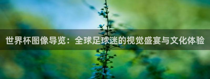 世界杯直播时间：世界杯图像导览：全球足球迷的视觉盛宴与文化体验