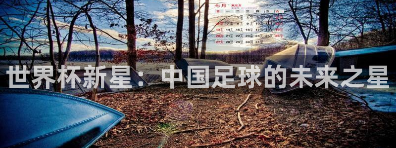 足球世预赛：世界杯新星：中国足球的未来之星