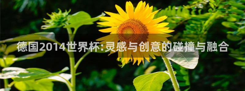 世界杯预选赛欧洲赛区赛程：德国2014世界杯:灵感与创意的碰撞与融合