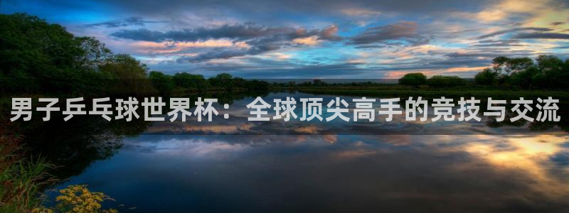世界杯：男子乒乓球世界杯：全球顶尖高手的竞技与交流