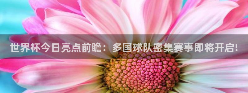 26世界杯：世界杯今日亮点前瞻：多国球队密集赛事即将开启!