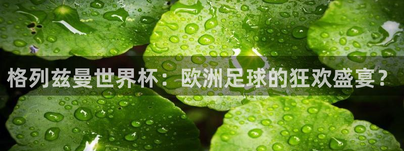 世界杯预选赛欧洲赛区赛程：格列兹曼世界杯：欧洲足球的狂欢盛宴？