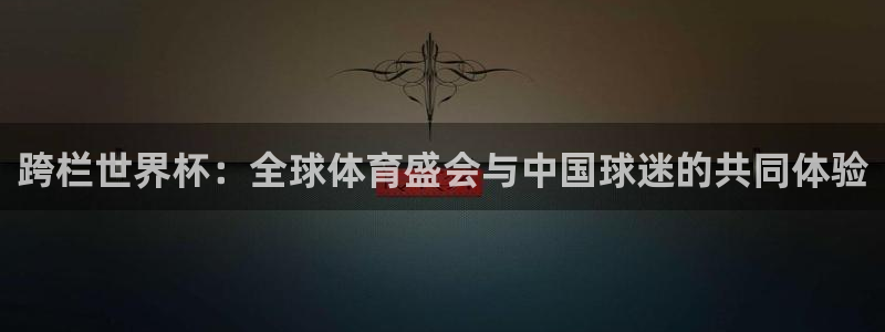 世界杯2026赛程时间表格：跨栏世界杯：全球体育盛会与中国球迷的共同体验